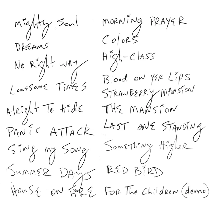 Strawberry Mansion (Vinyl) - Image 4